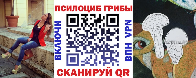 Купить закладки  Красноармейск  Галлюциногенные грибы Psilocybe 